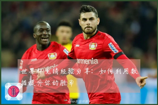 世界杯竞猜经验分享：如何利用数据提升你的胜率