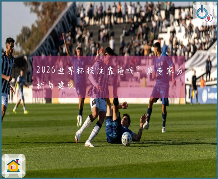 2026世界杯投注靠谱吗？看专家分析与建议