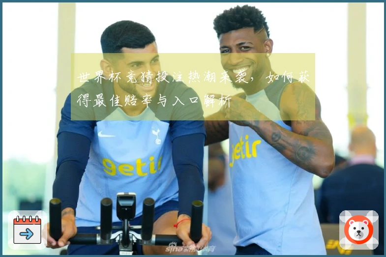世界杯竞猜投注热潮来袭，如何获得最佳赔率与入口解析