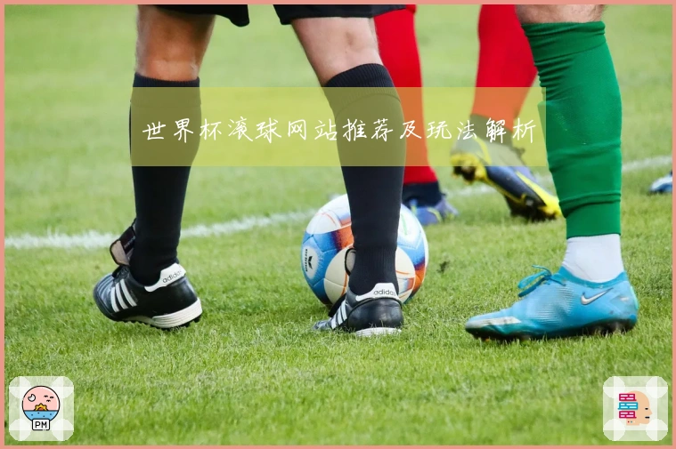 世界杯滚球网站推荐及玩法解析